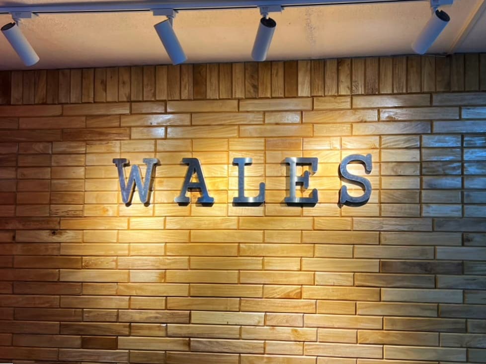 WALES 图片 2