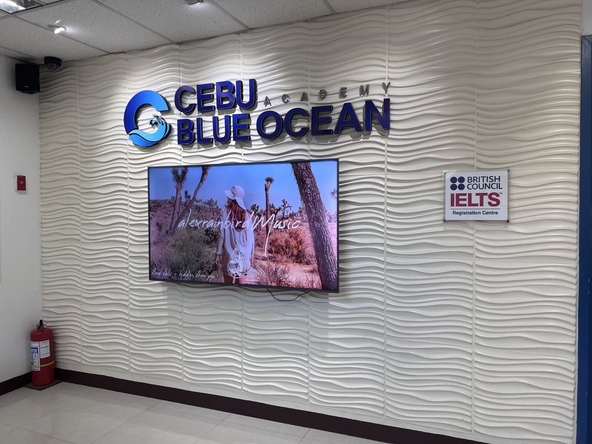 Blue Ocean 图片 6