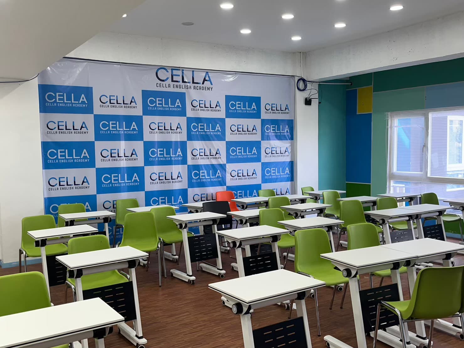 CELLA-Premium 图片 27